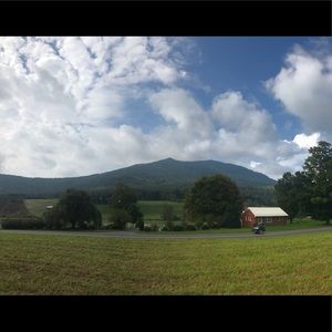 Meet your Posher, Colie